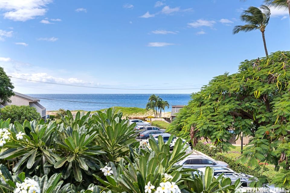 View from balcony/lanai.  