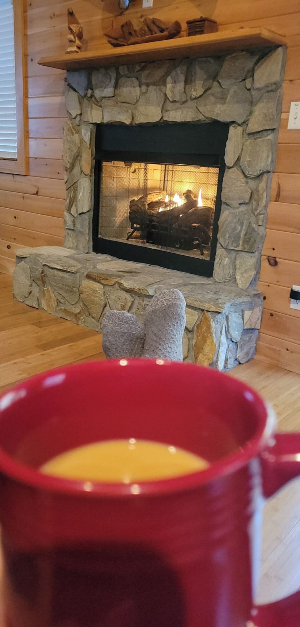 guests view