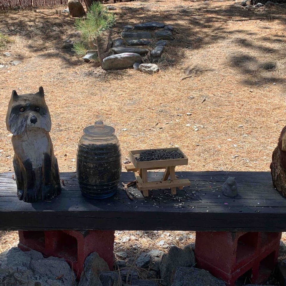 Forest critters are enjoying their table of snacks!