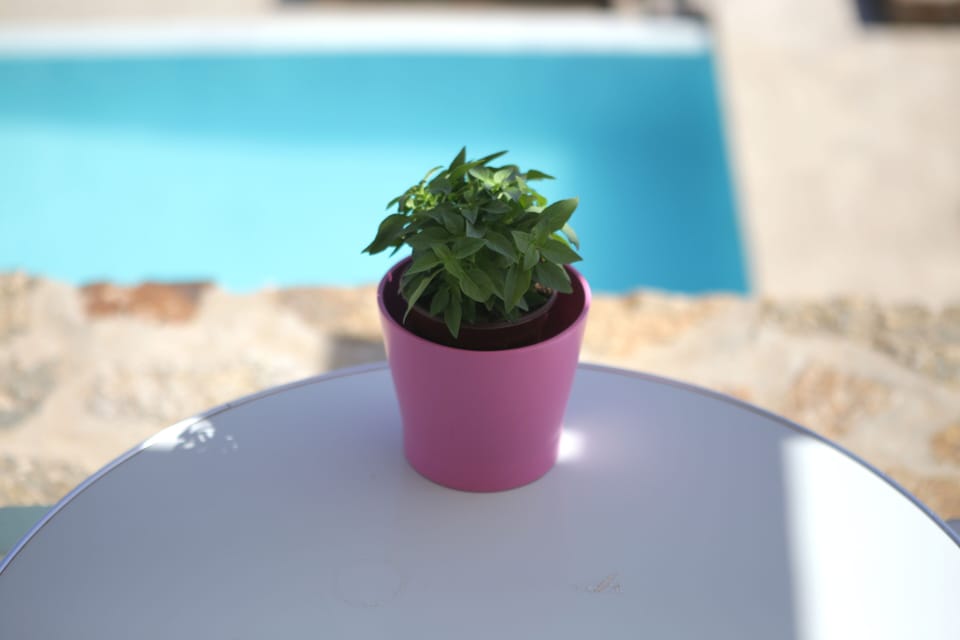 Studio, Sea View (2 Adults) | Room amenity