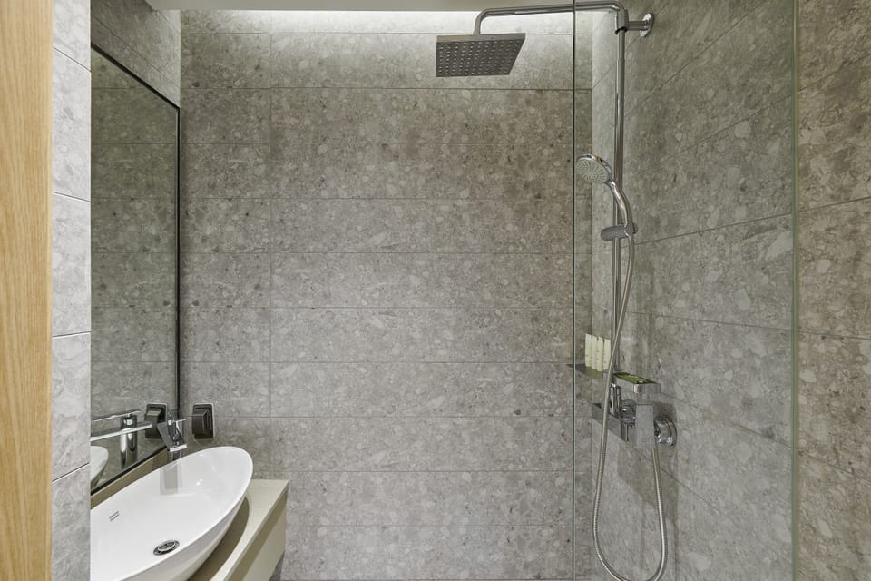 Shower, hair dryer, bathrobes, slippers