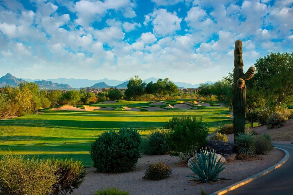 Beautiful course surrounded by shrubs &amp; trees.