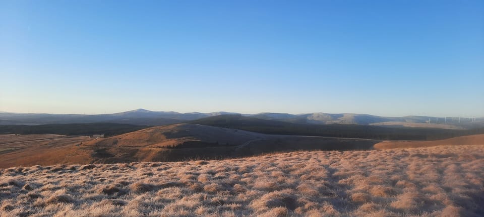 Apartment | Miscellaneous