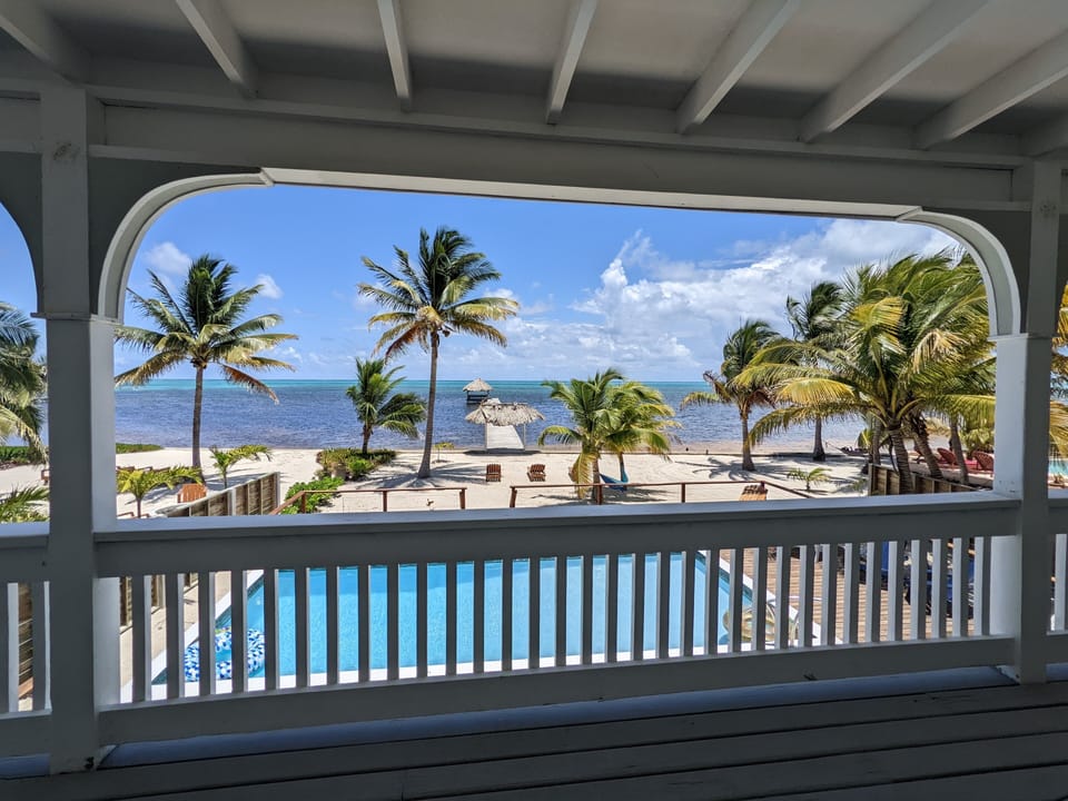 Your view from the kitchen or just enjoy while you swing.