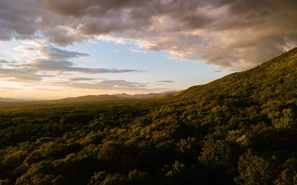 Drone view above the house, secluded and surrounded by endless forest.
