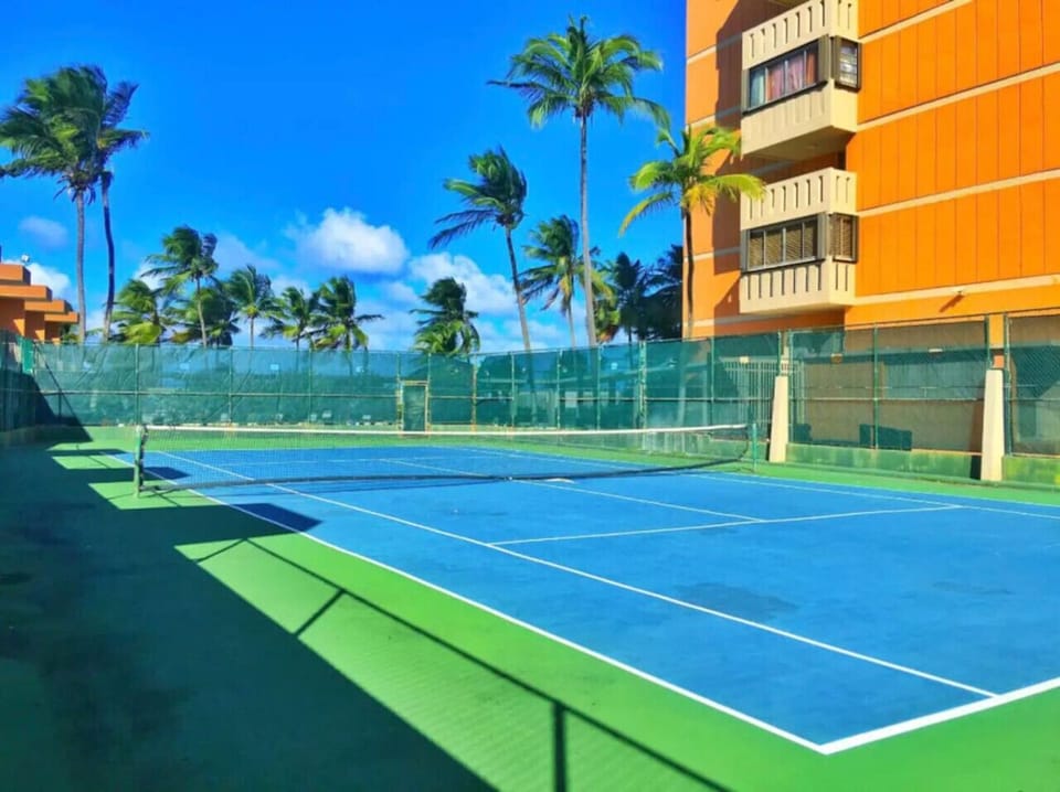 Sport court