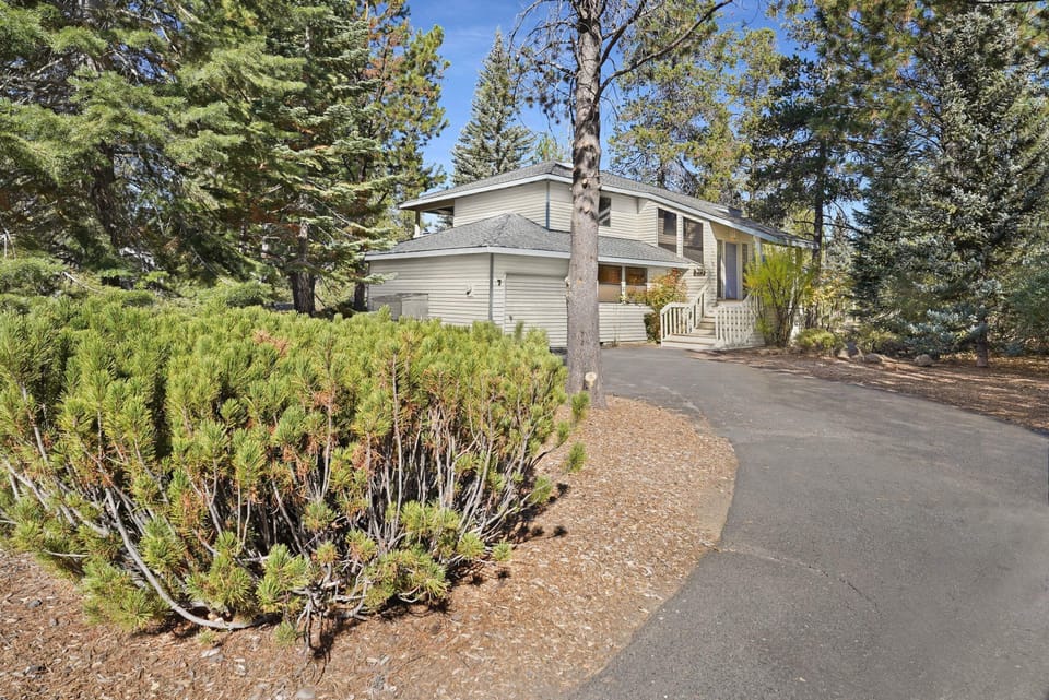 Front of Home with Driveway & Pine Trees