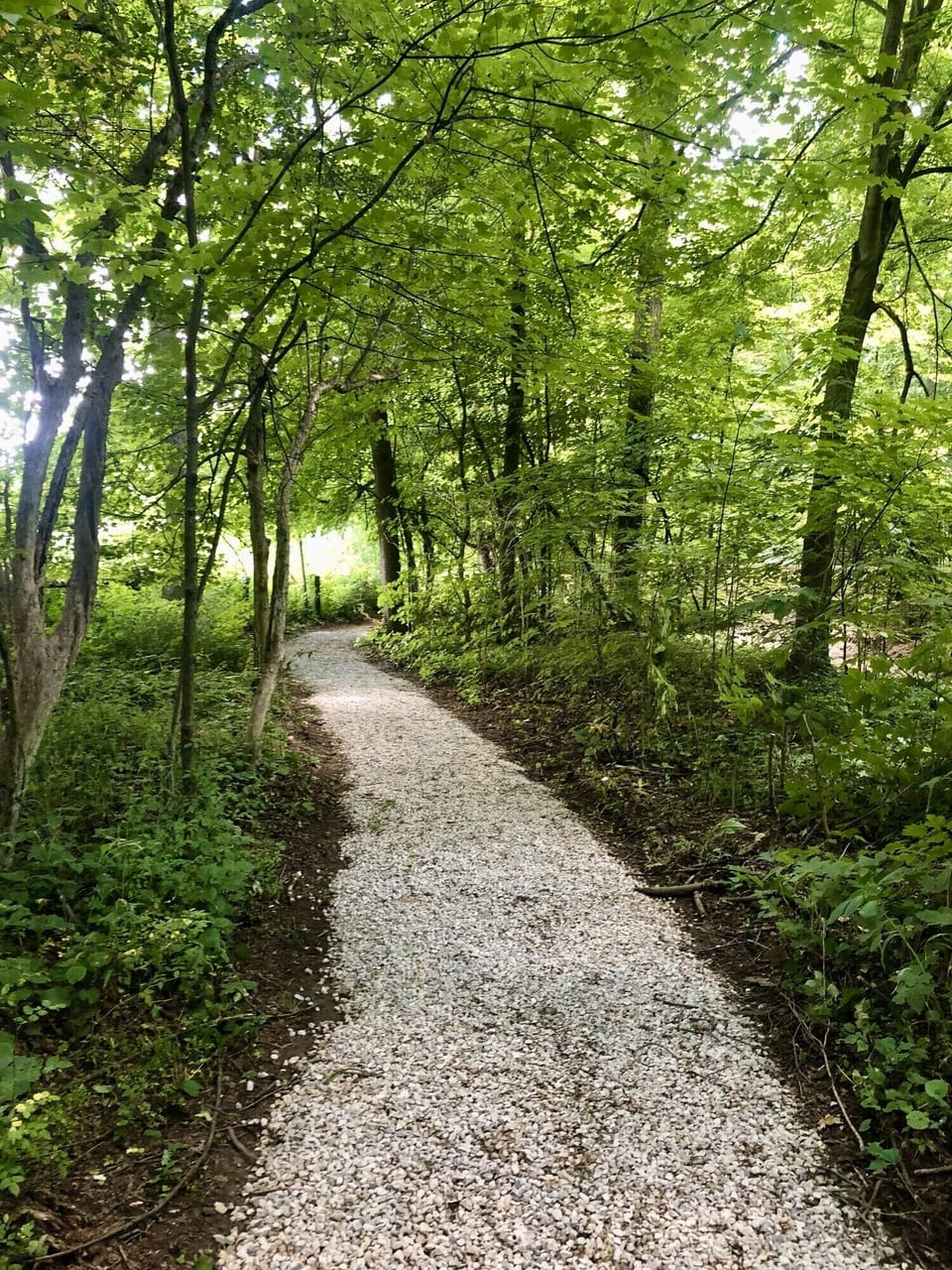 SLN20Hiking20Trail