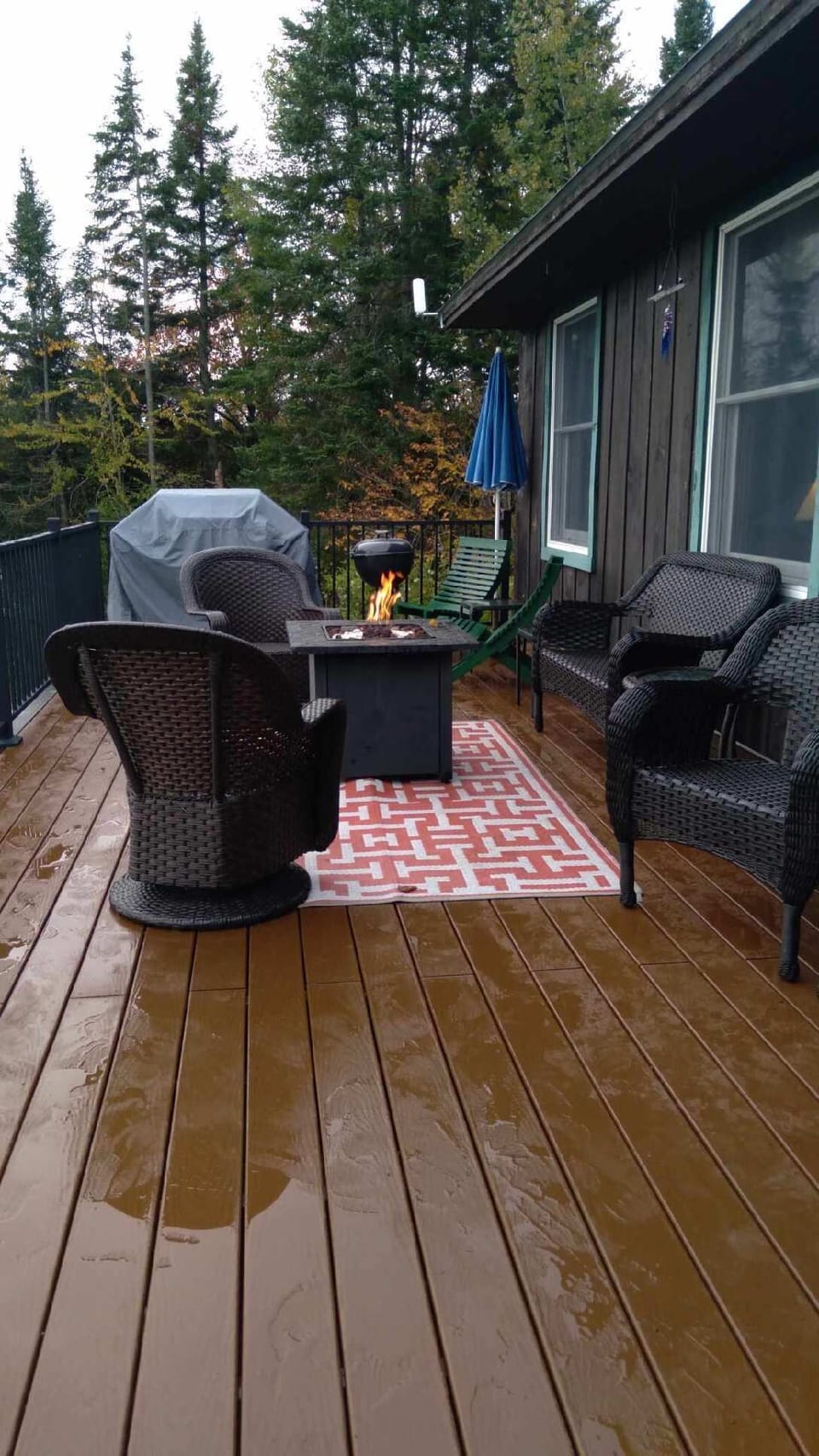 Propane grill, firepit on deck.