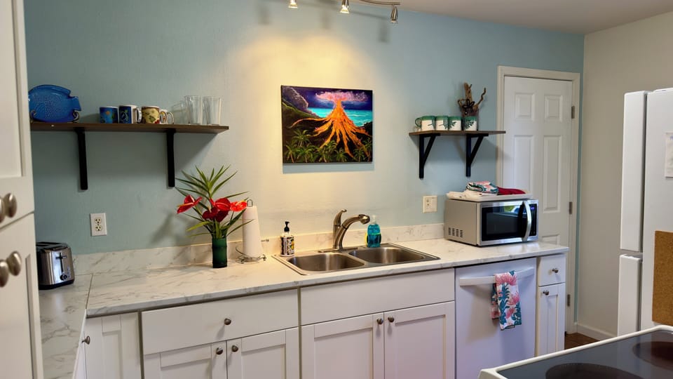 Fully stocked kitchen with everything: spices ,cooking oil, all appliances