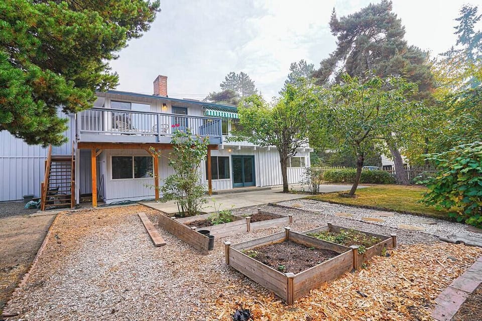 Fenced backyard