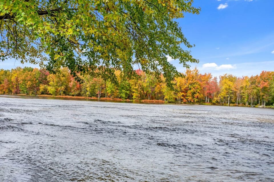Miscellaneous