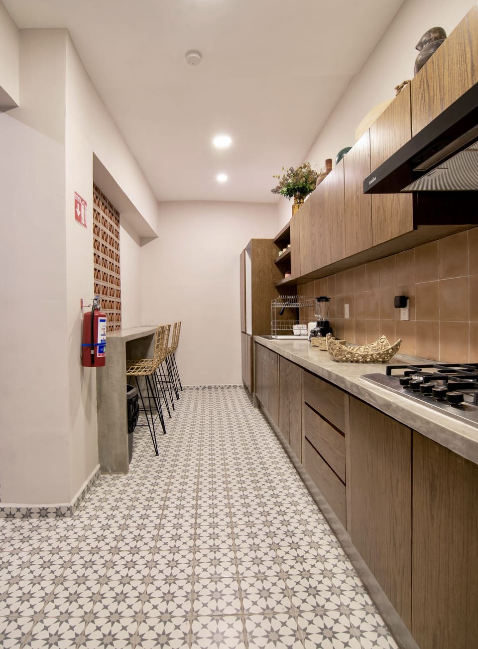 Full-size fridge, microwave, toaster, rice cooker
