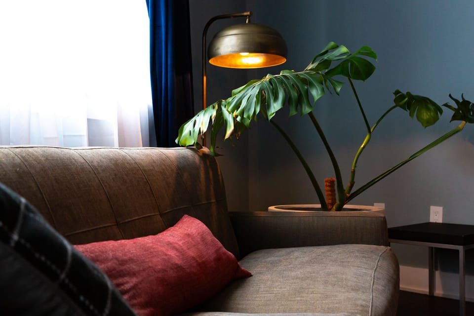 Full size couch with floor lamp.