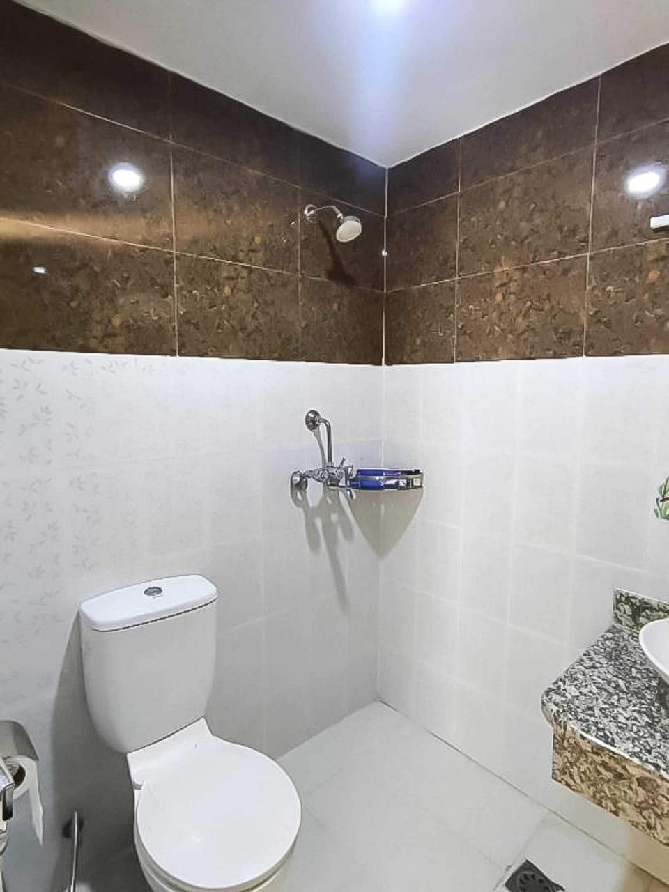 Shower, free toiletries, slippers, bidet