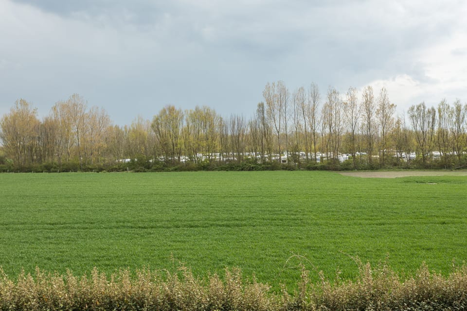 V.I.P. Suite 4P (Max. 1 dog allowed on Request) | Terrace/patio