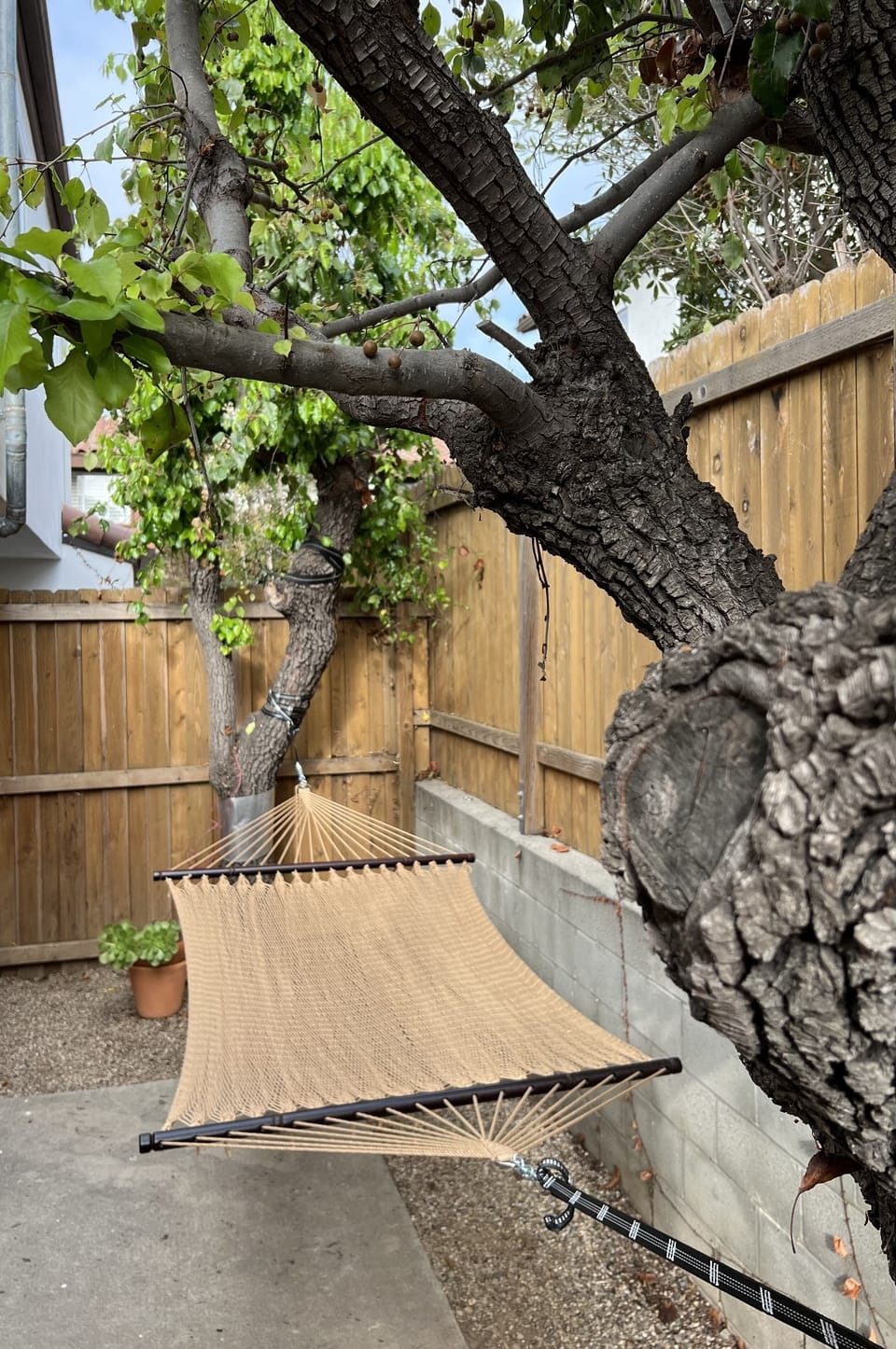 Outdoor hammock between the trees. Providing relaxation, naps, reading, swaying.