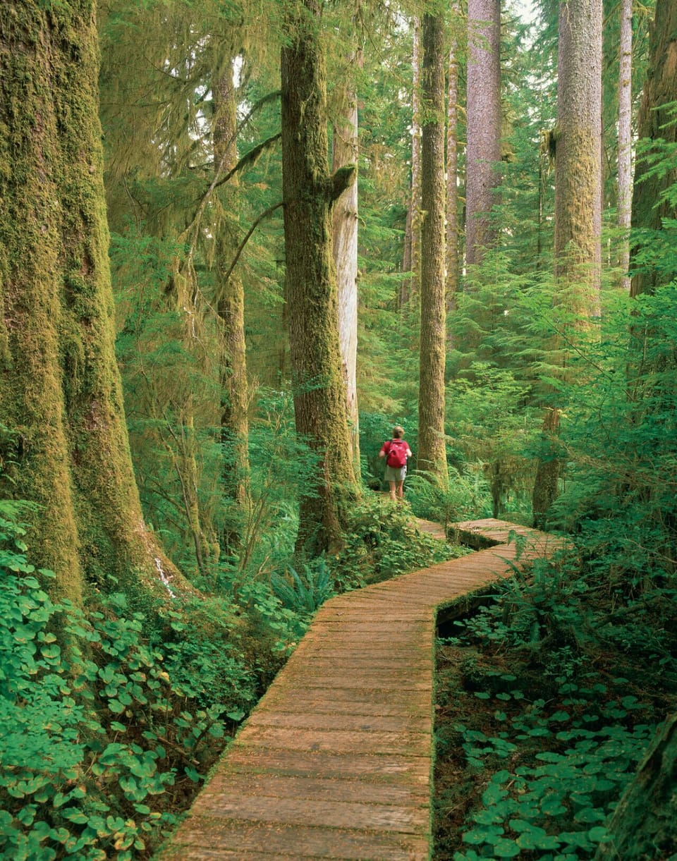 Enjoy some of the amazing walking trails.