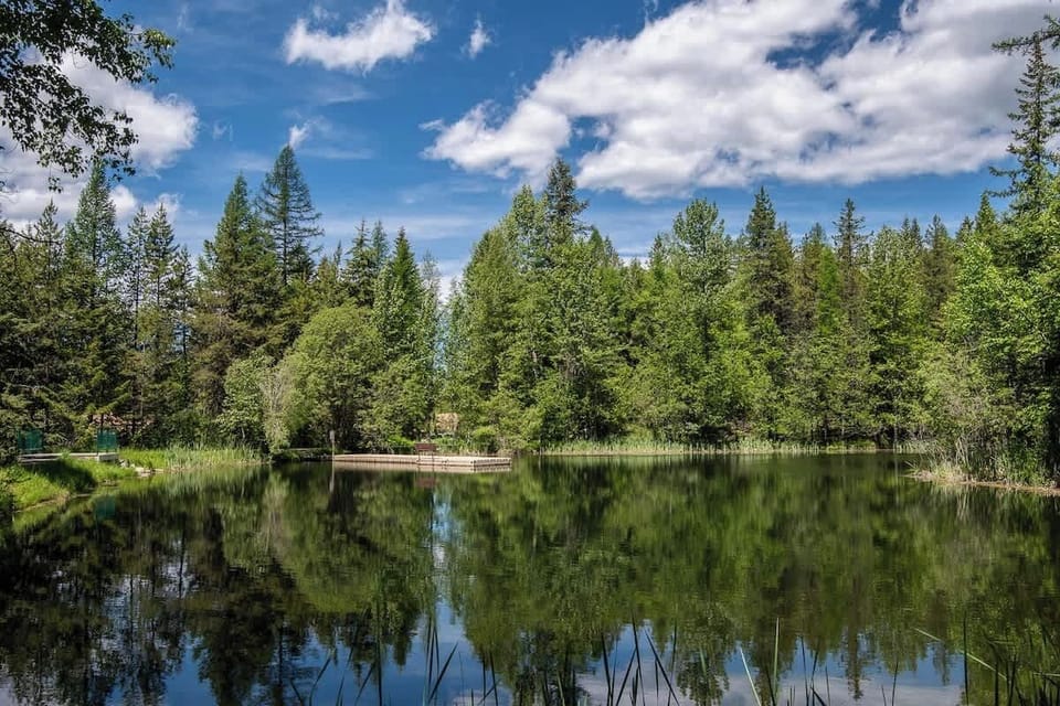 Elmers Pond