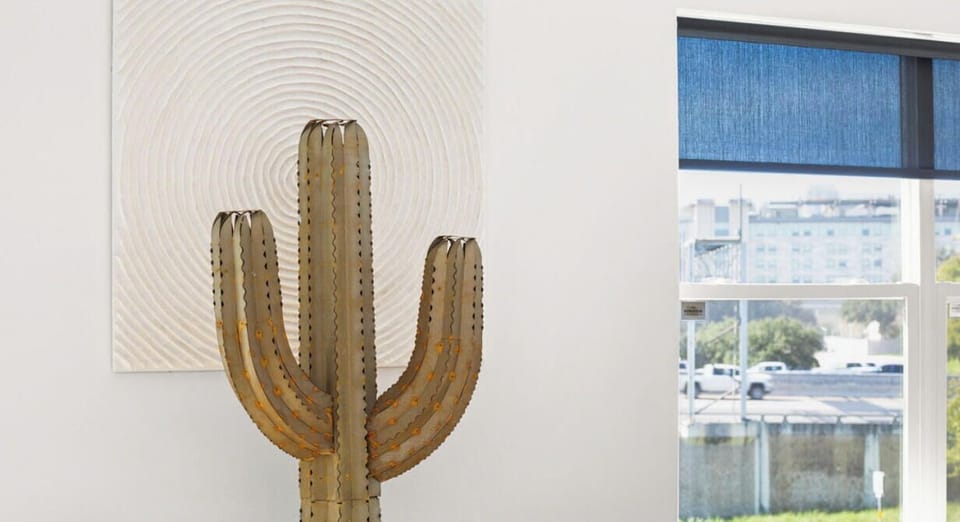 Cactus in the dining room