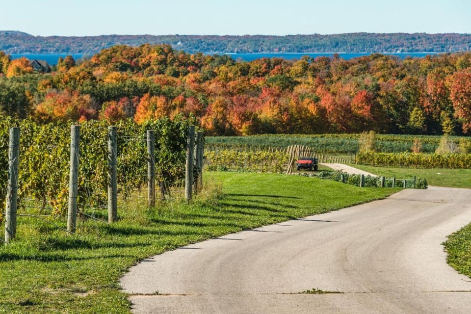 Visit local wineries on the Leelanau or Old Mission Peninsulas for great wine and breathtaking views!