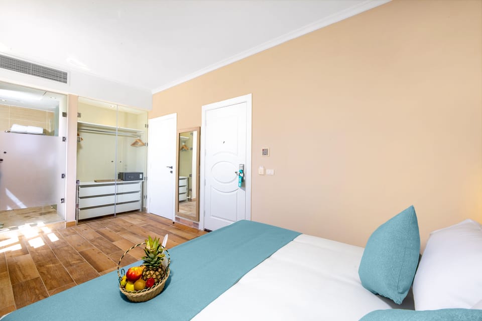 Economy Room, Mountain View | Minibar, in-room safe, blackout drapes, iron/ironing board