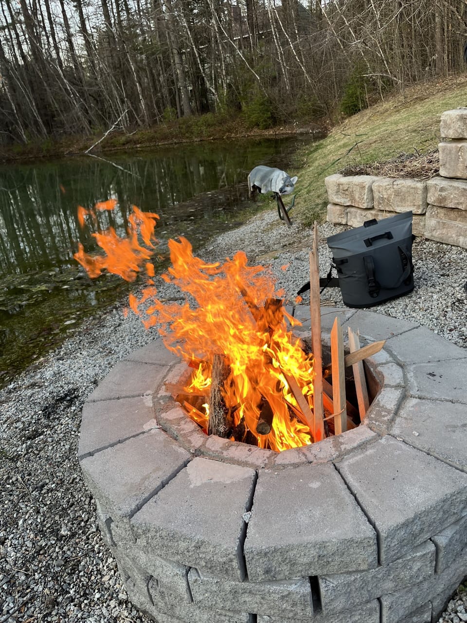 Small pond  for fishing or catching frogs!