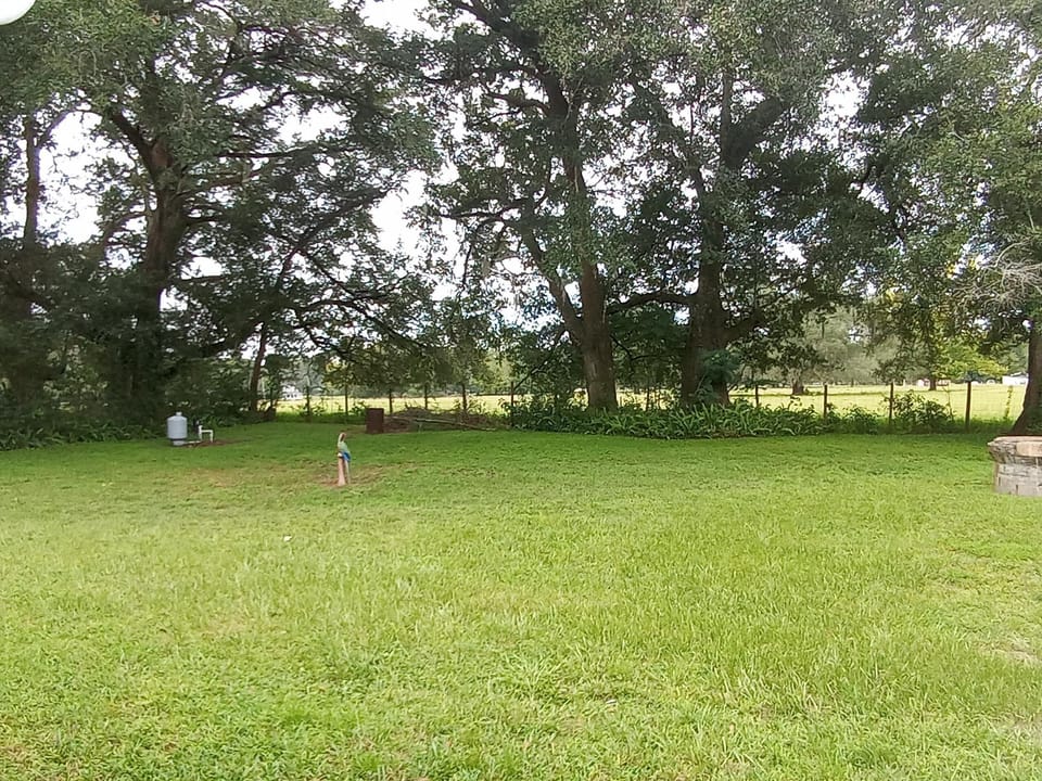 Private Backyard Very Quiet