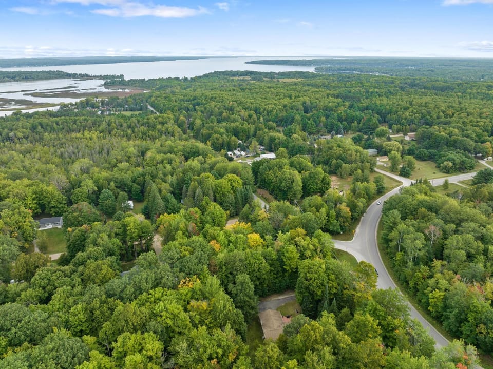 Aerial photo of area (2)