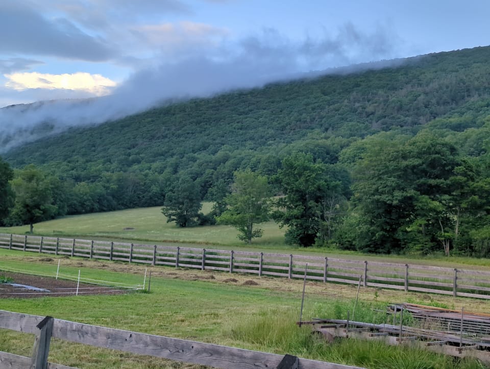 Italy, NY is situated between large wooded hills