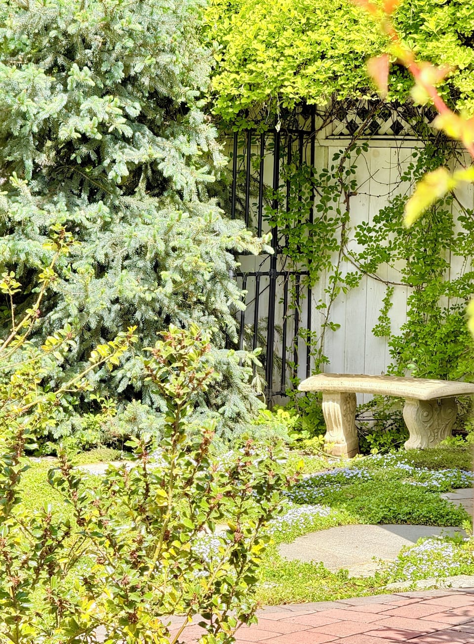 Beautiful outdoor garden areas