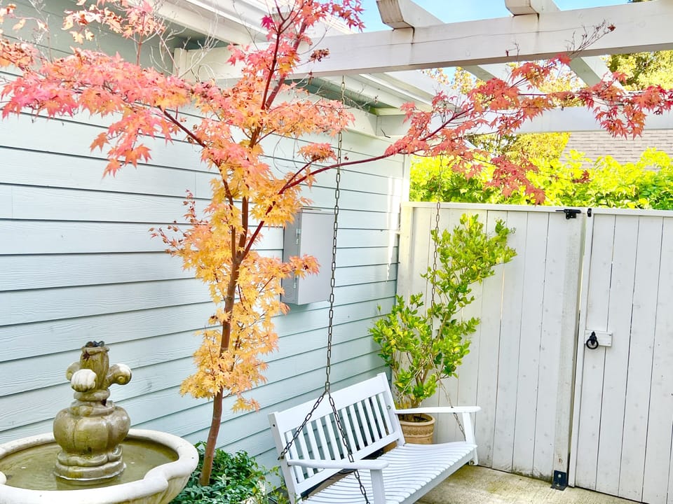 Private Backyard Bench Swing