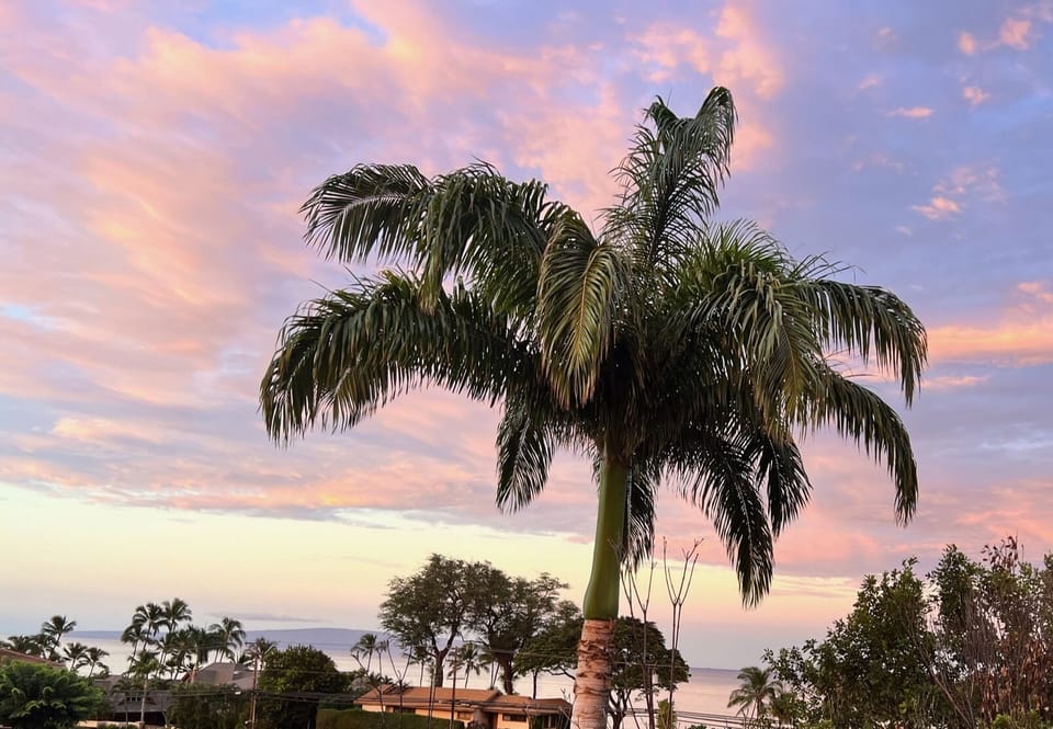 Sunrise from the lanai.