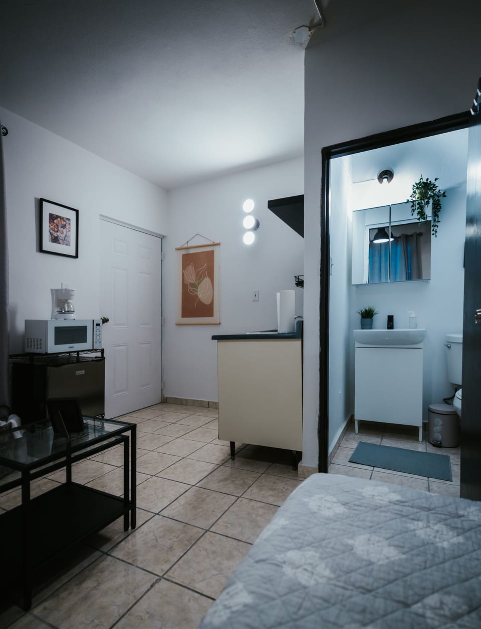 The bathroom and kitchenette area.