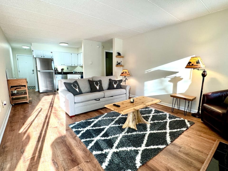 Living room and kitchen