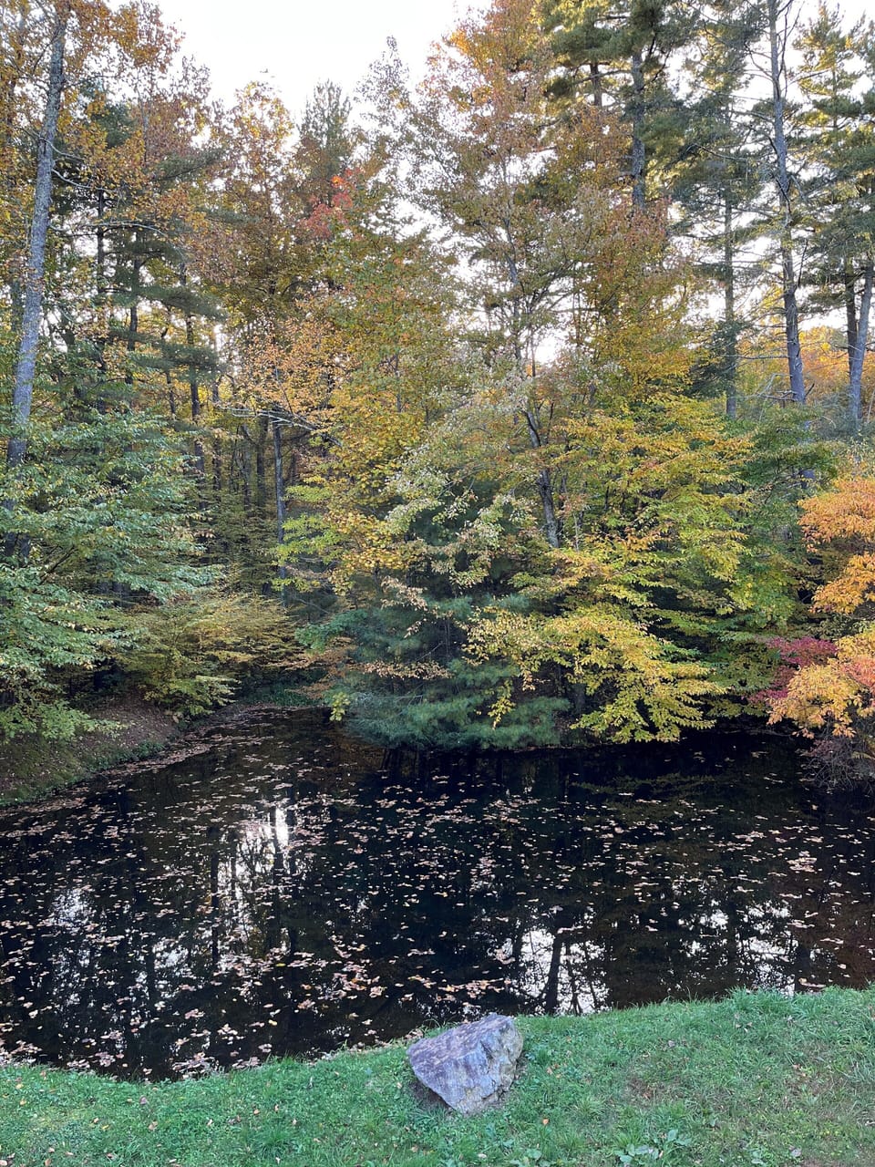Pond in fall
