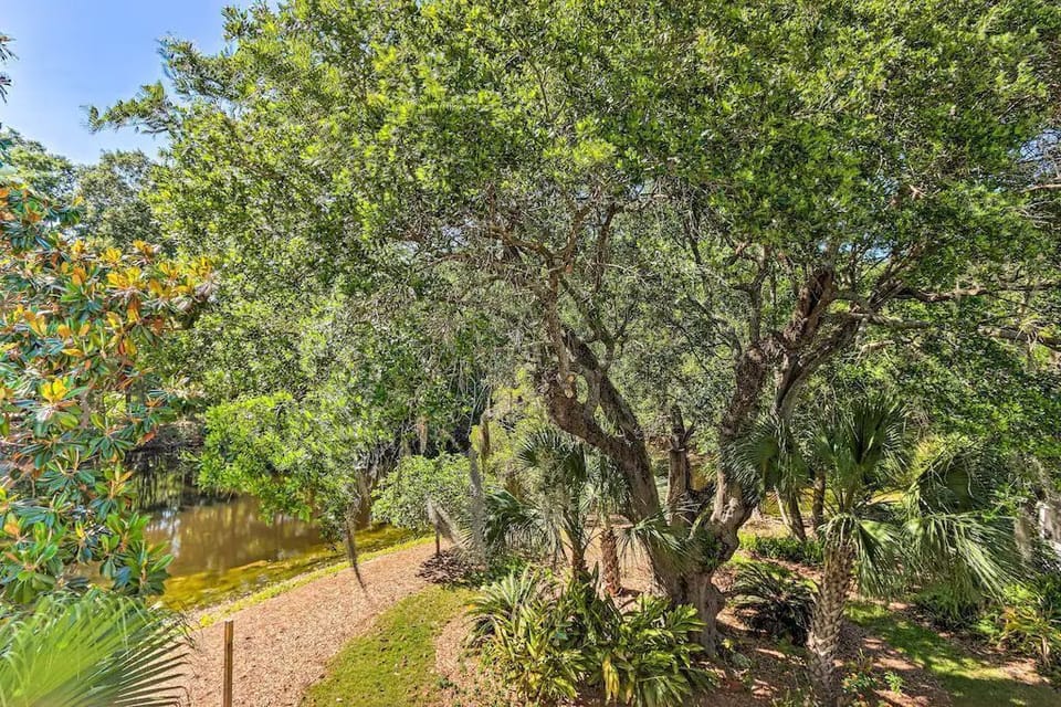 Back yard oak and lagoon
