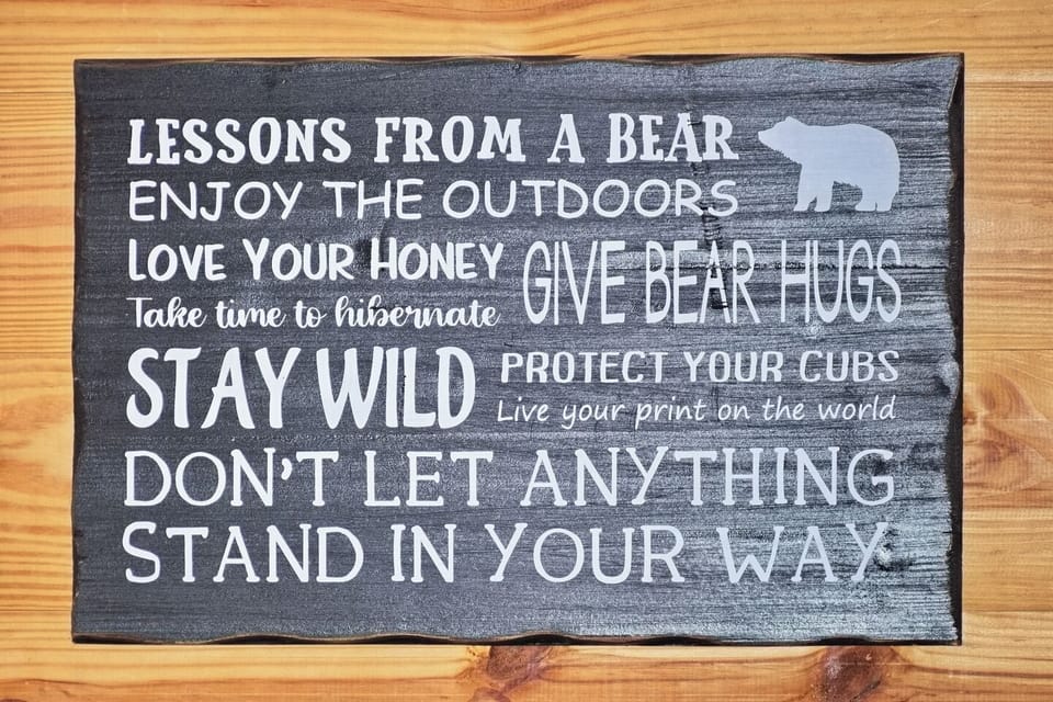 Cabin Decor. You're in the mountains!