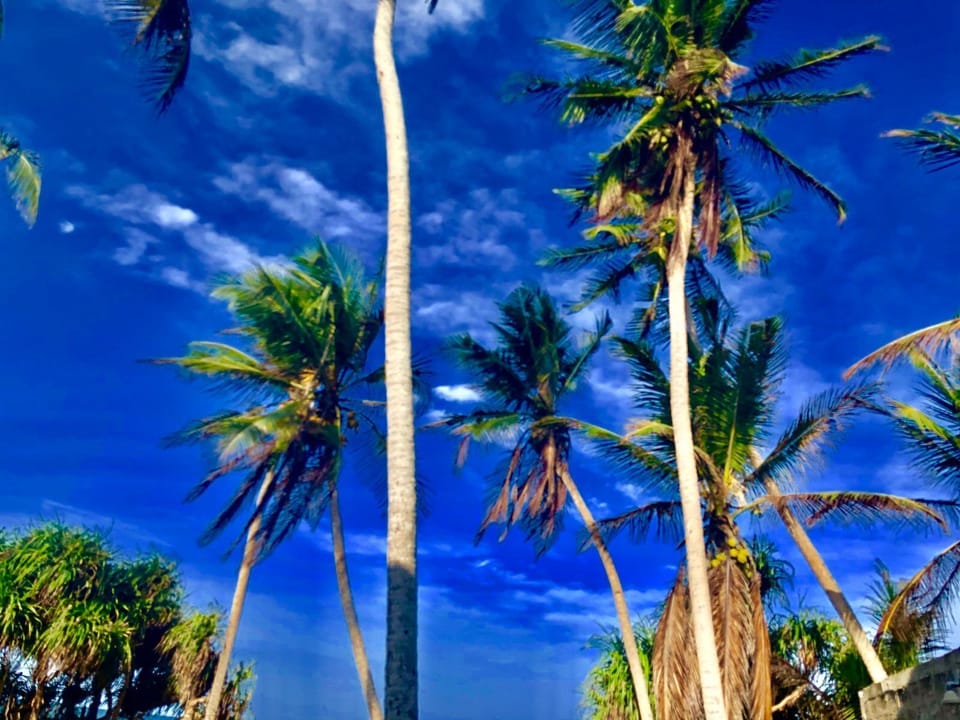 Beautiful Nature 