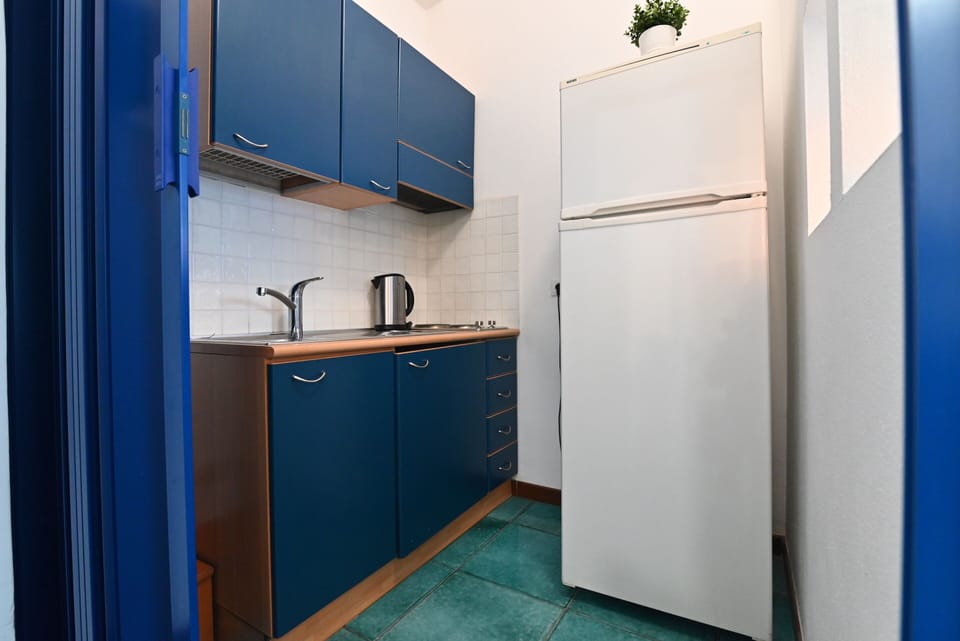 Basic Apartment | Private kitchen | Full-size fridge, microwave, oven, espresso maker