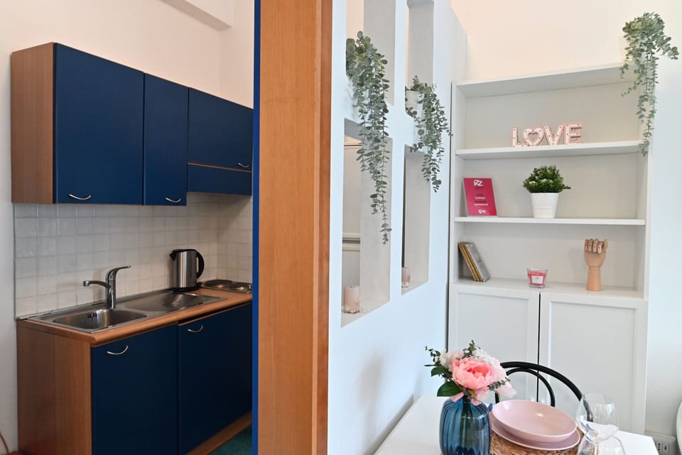 Basic Apartment | Private kitchen | Full-size fridge, microwave, oven, espresso maker