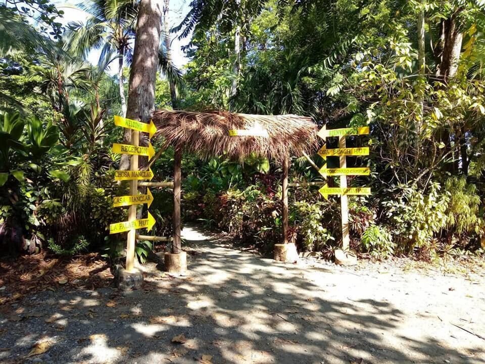 entrada