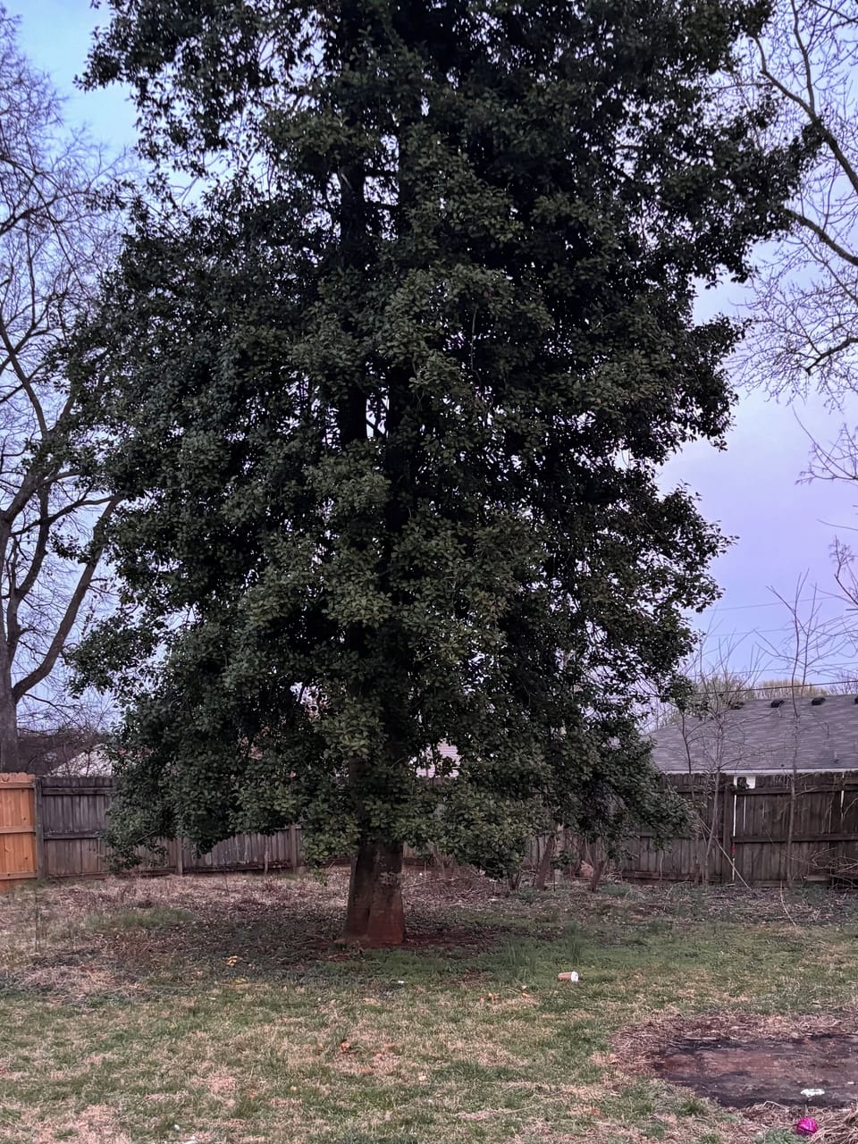 Miscellaneous
