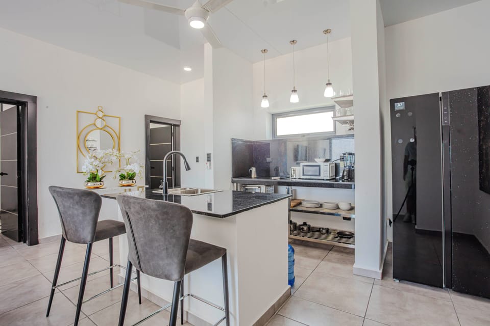 Deluxe Apartment | Private kitchen | Fridge, microwave, toaster, blender