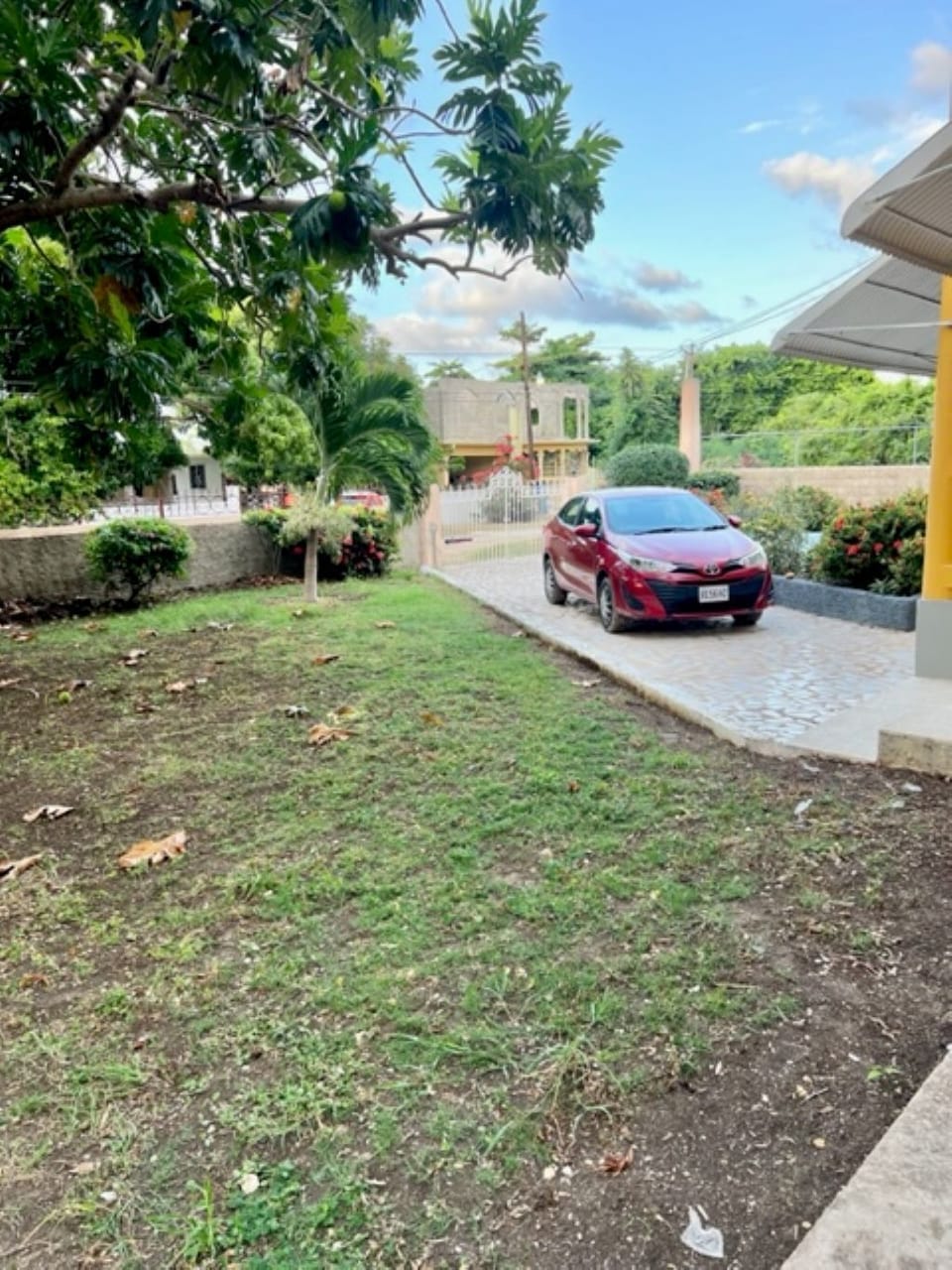 Driveway/Front Yard