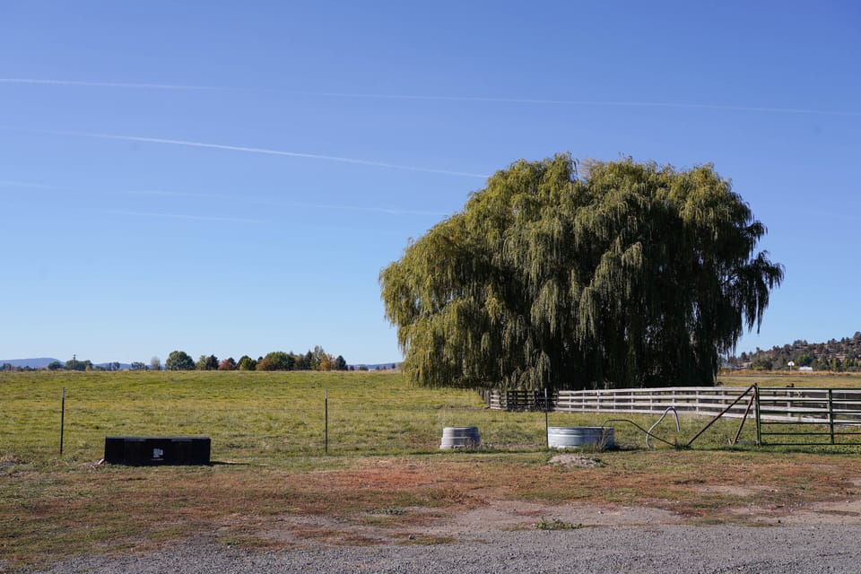 Plenty of space to walk and enjoy ! Just remember to shut all gates 