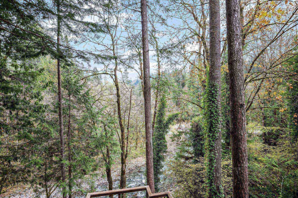 This rental is in the Columbia River Gorge, one of the most beautiful natural areas in the country.