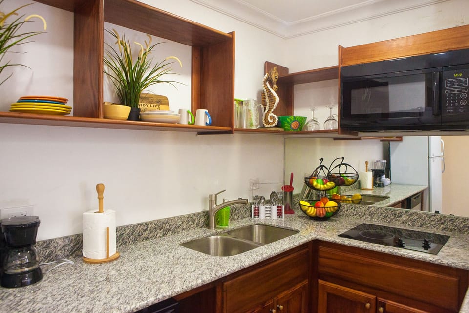 Kitchen area, equipped with dishwasher and fridge