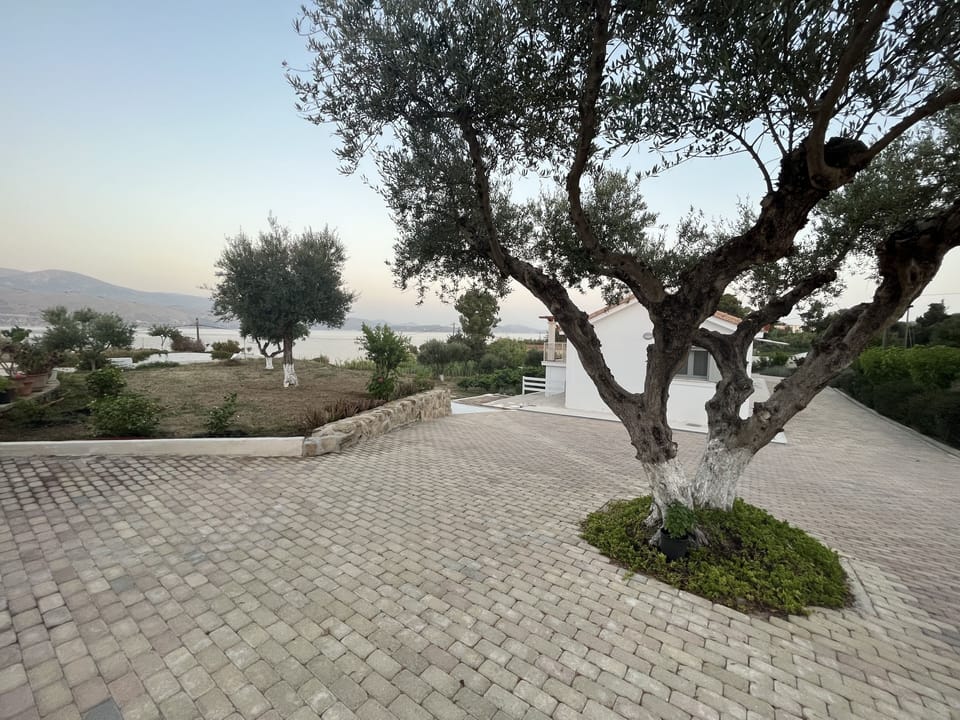 Courtyard view
