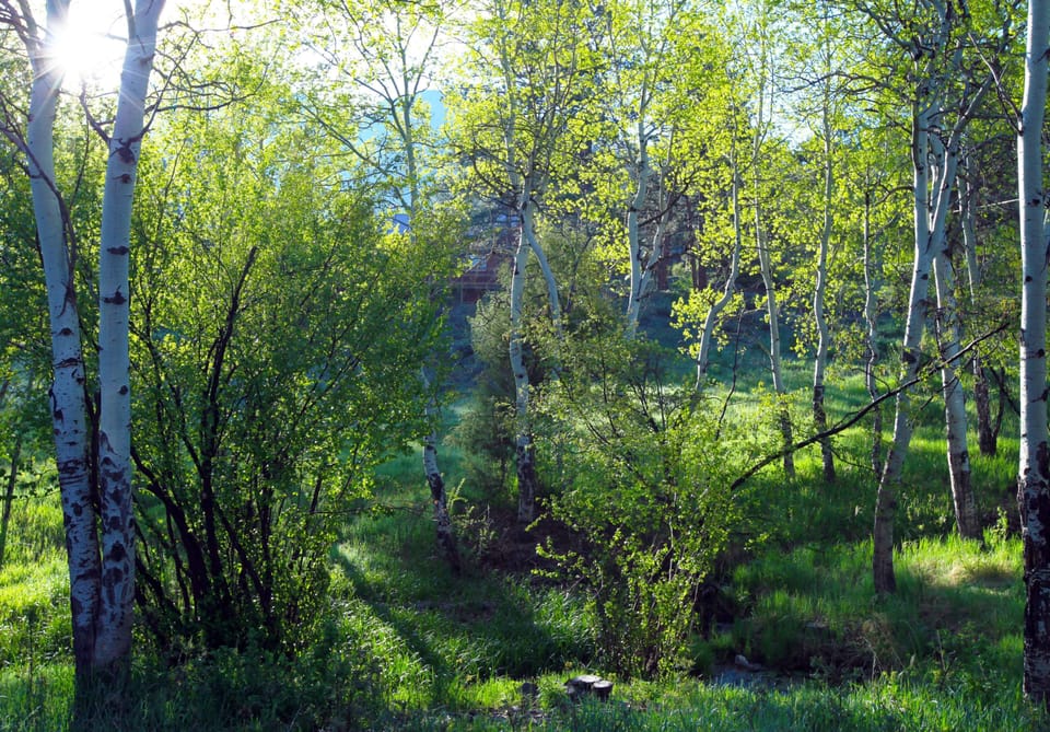 Aspens VRBO.jpg